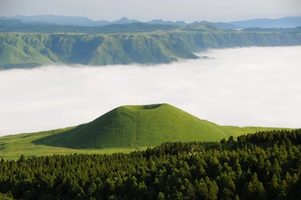 熊本6大親子景點，動物體驗、草原奔跑、熊本熊互動全都有！